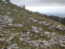 Combe à Fournier